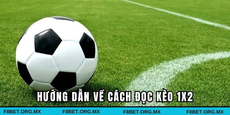 Bật mí về cách đọc kèo chi tiết nhất
